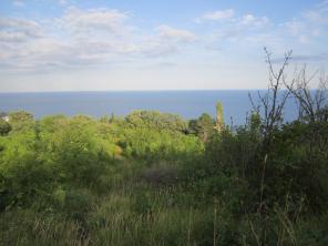 Срочно продам участок 1.5 га в Крыму. Алупка.